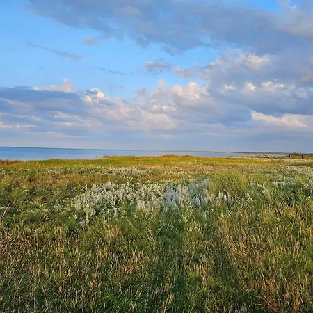 8 Person In 度假居 Ørsted