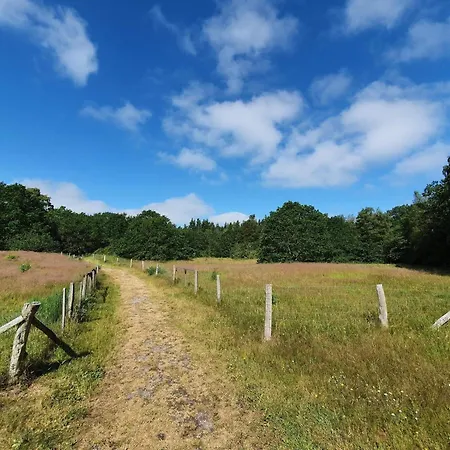 度假居 8 Person In Ørsted